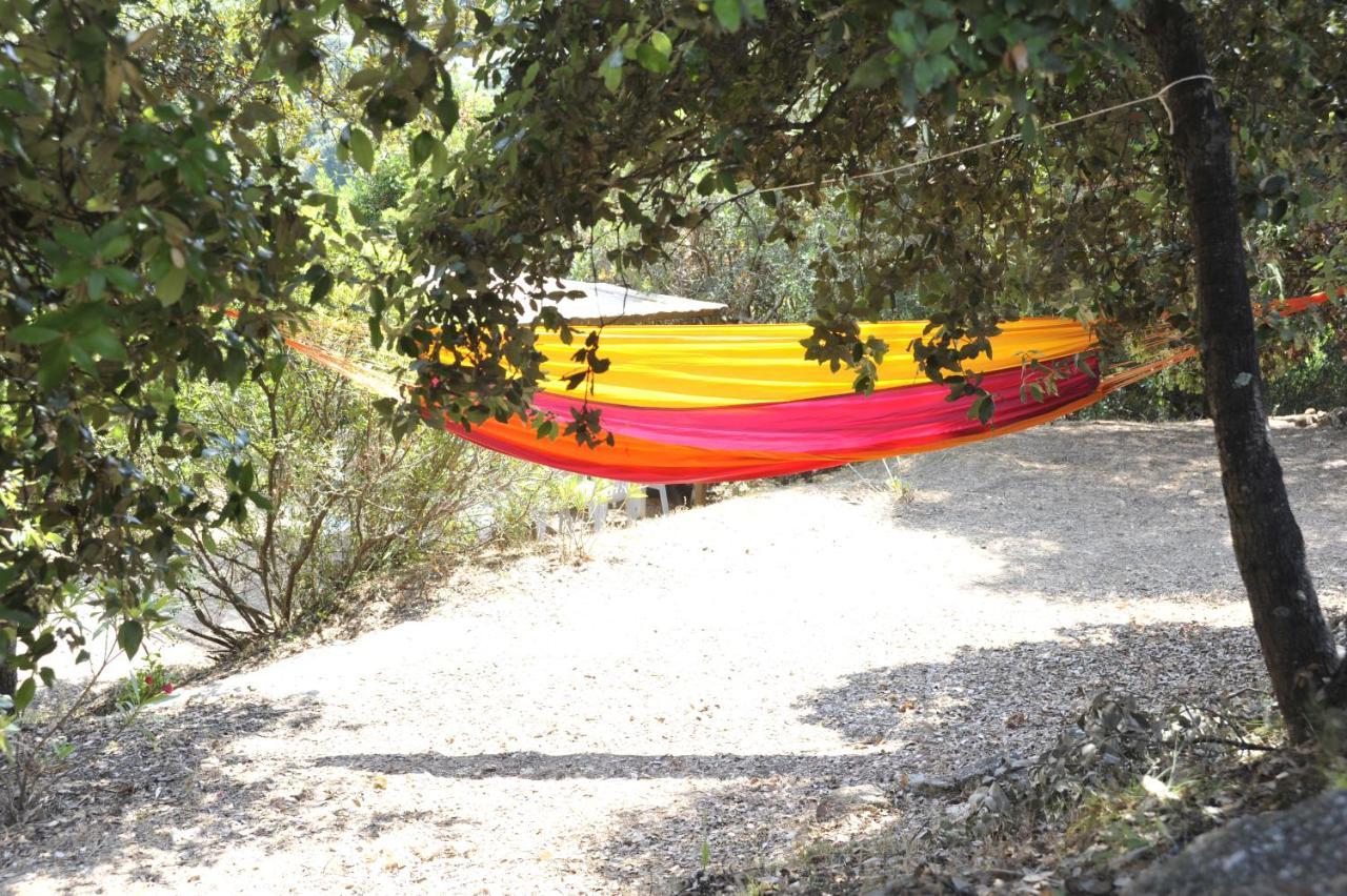 Camping Torraccia Cargese Luaran gambar